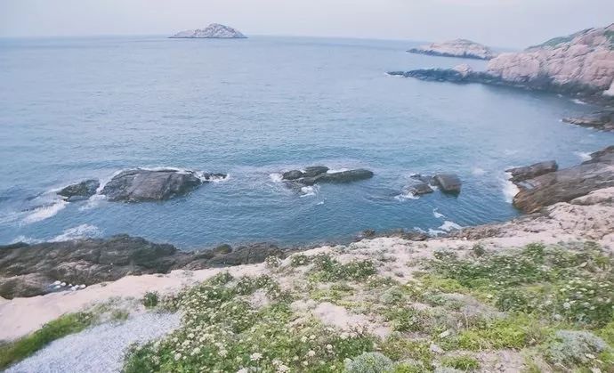 养心养肺之旅,静心养肺养心