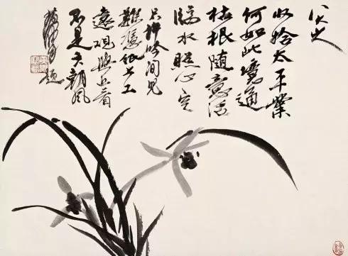 国画兰花绘画图,简单国画兰花画法教程