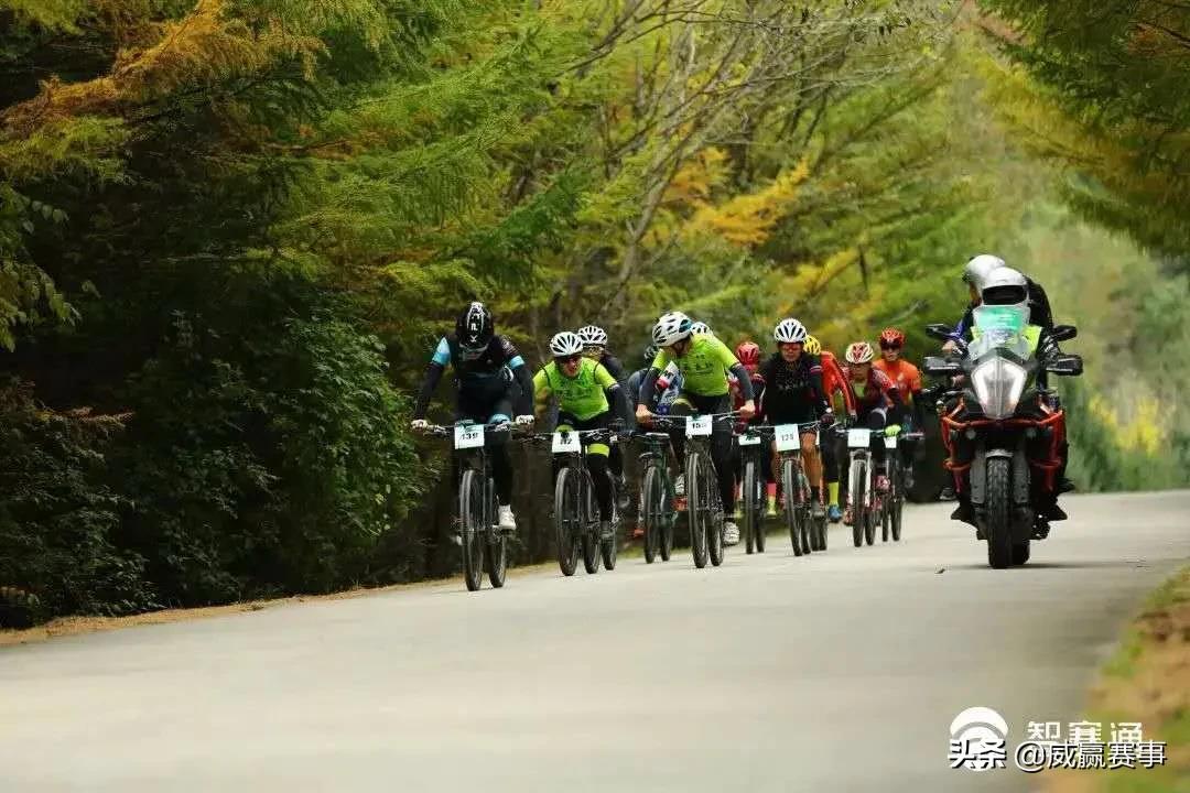 濞佽耽璧涗簨鐩存挱,濞佽耽涓滆帪