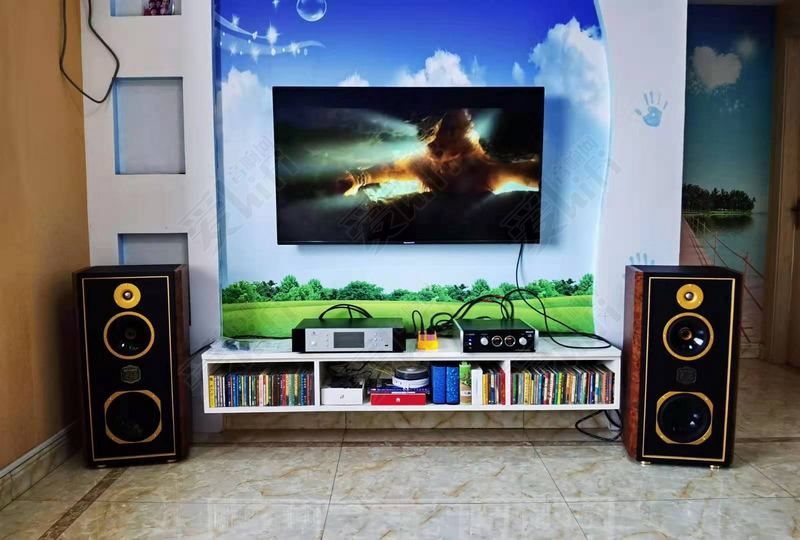 初入柴坑有没有什么要避雷的,新手初烧hifi