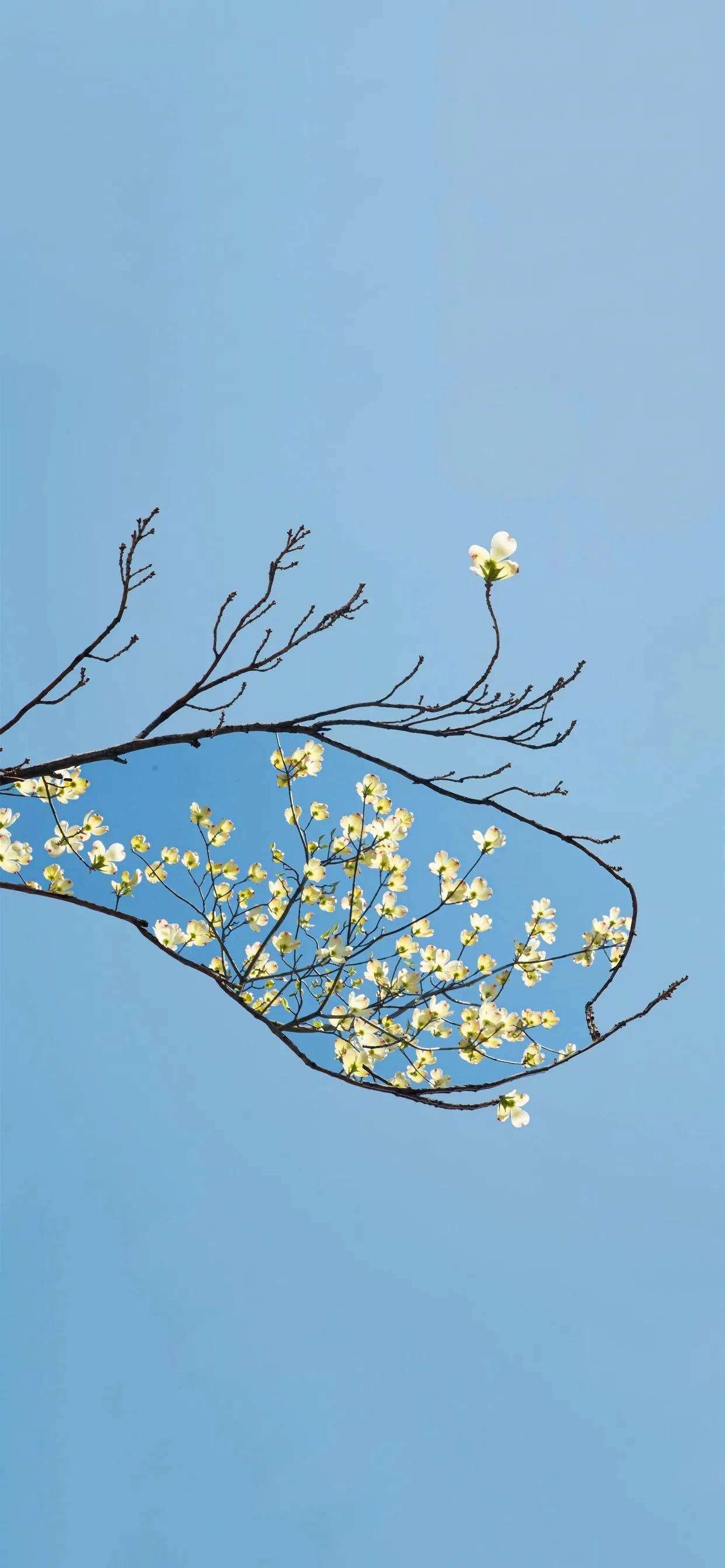 让人很惊艳的微信壁纸,2021独一无二微信背景高清壁纸