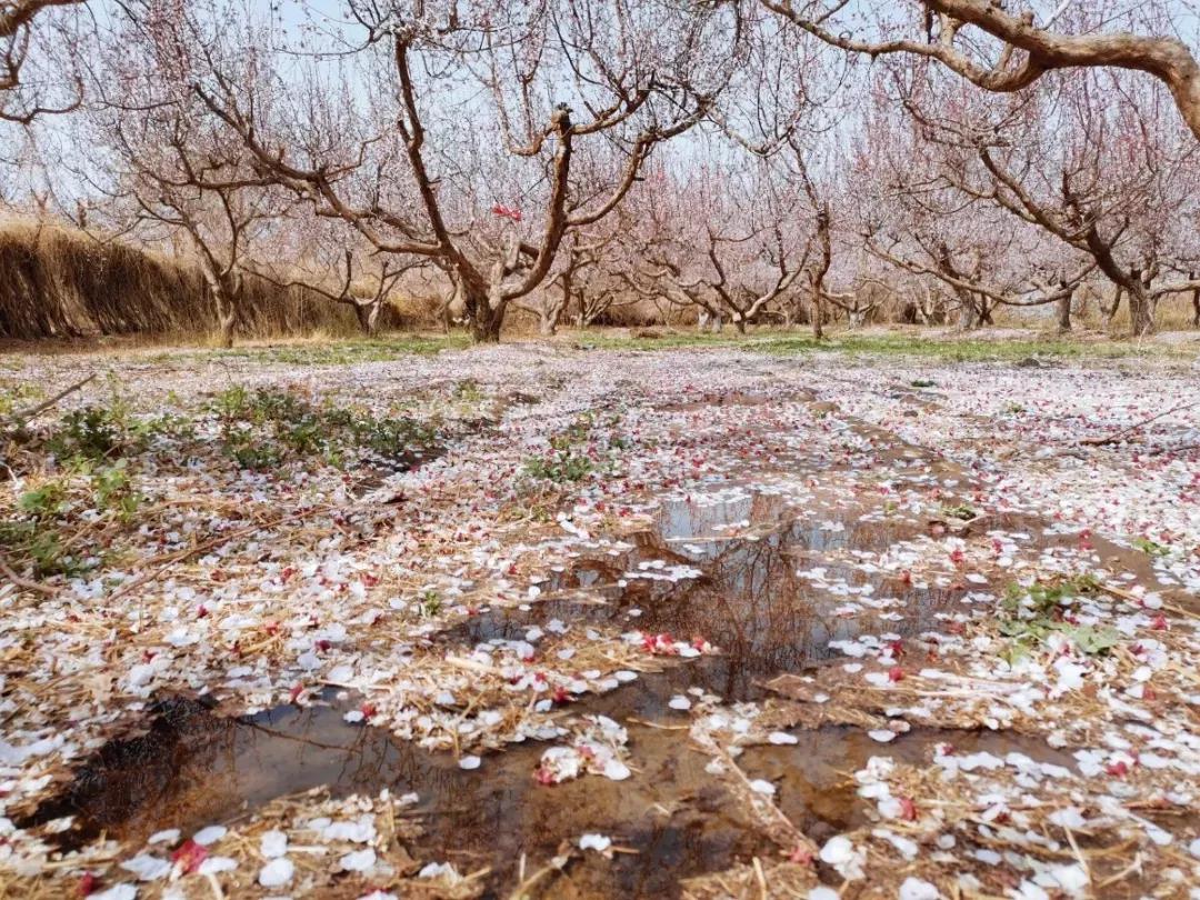 营口理工学院咋样,辽宁省公办高校营口理工学院
