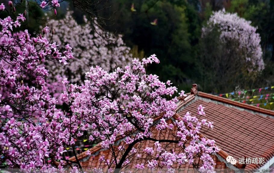 药王谷里觅旧迹（原图文）