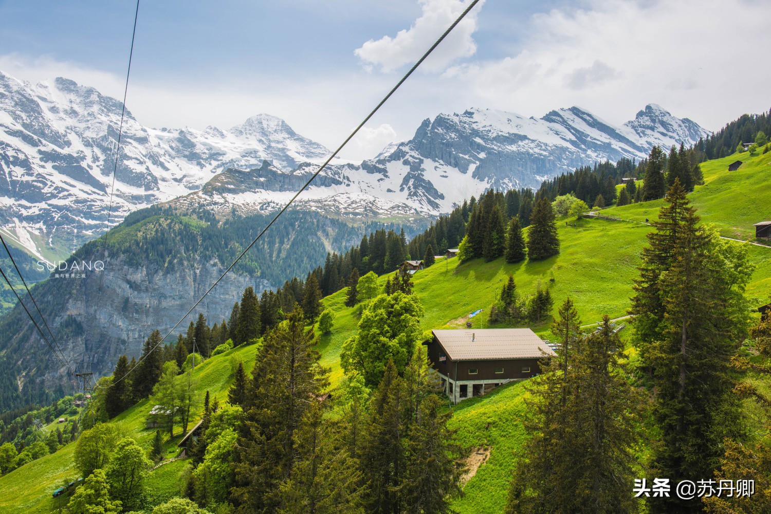 塞尔维亚是对中国免签的欧洲国家,塞尔维亚去欧洲免签么