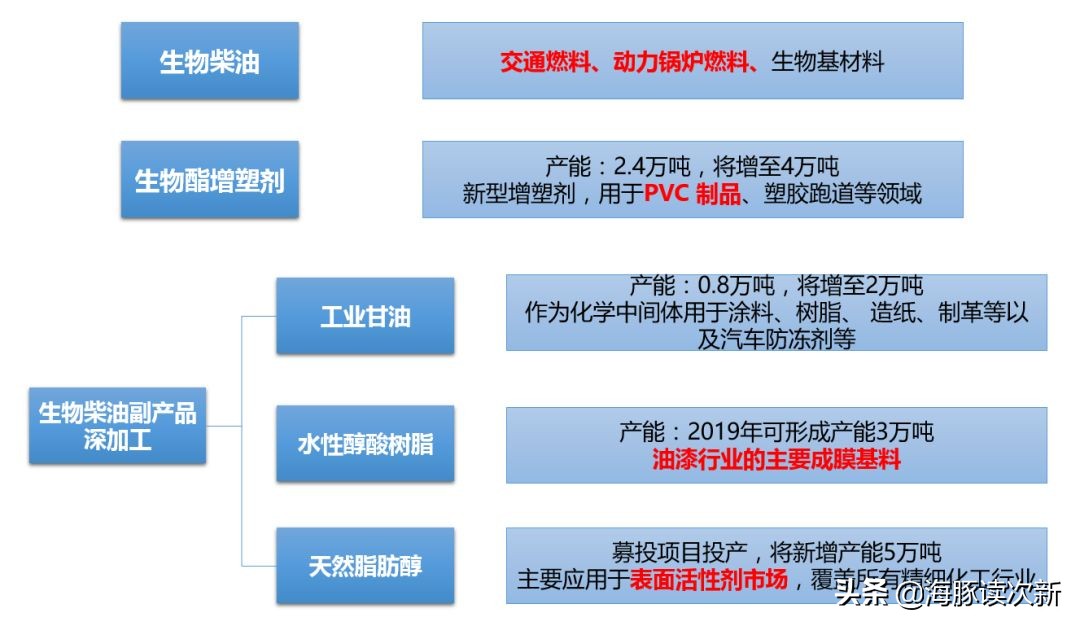 地沟油生物柴油前景,生物柴油发展