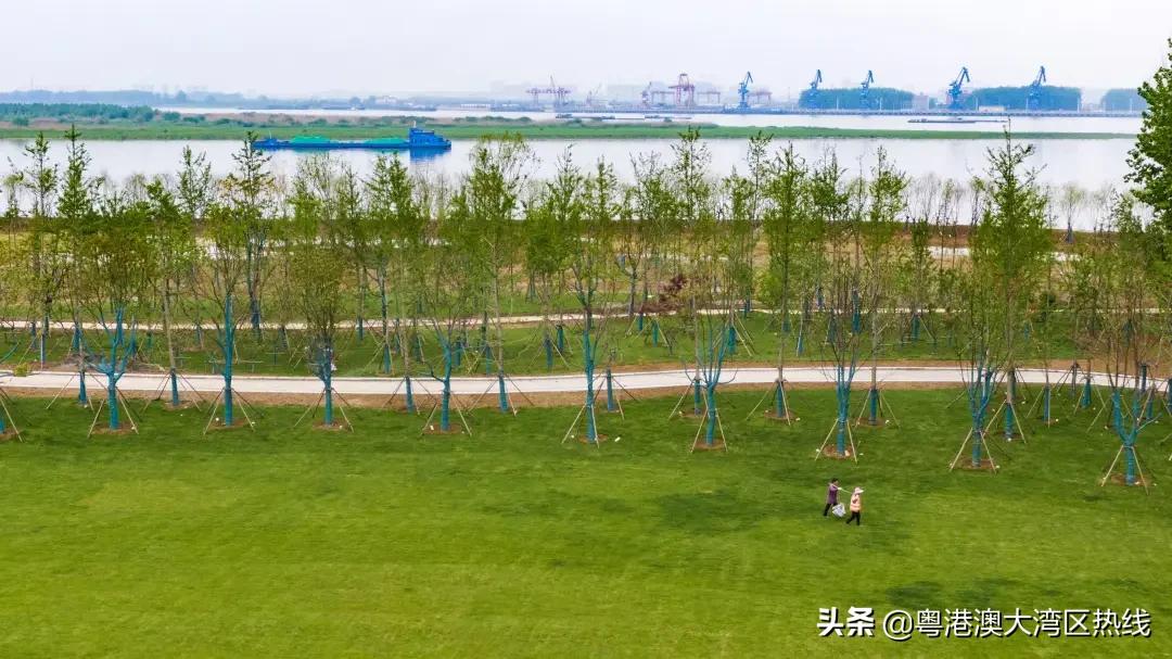 南京雨花滨江最新规划,南京河西滨江景观带