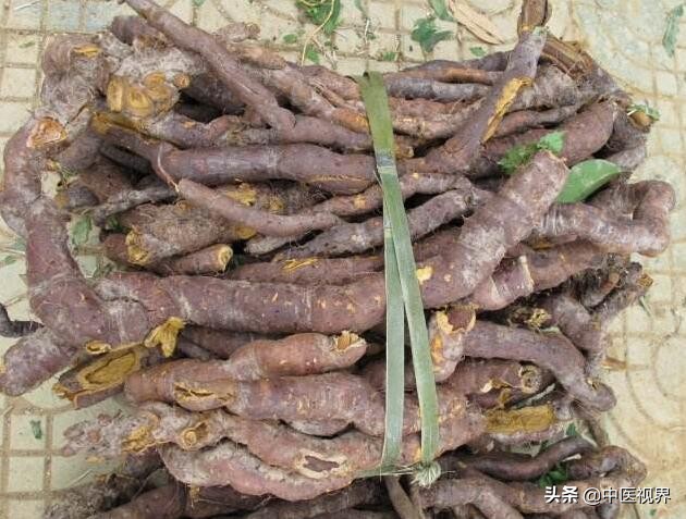 中药材虎杖的妙用,中药里的虎杖