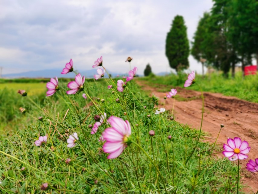 寻甸渔乐谷最新消息,寻甸欢乐世界项目大全