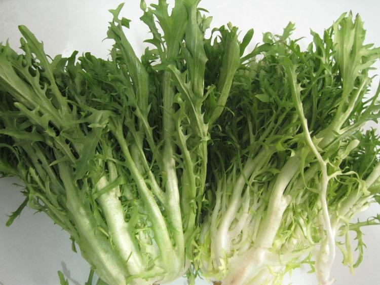 爱情故事林忆莲原唱,爱情故事苦酒