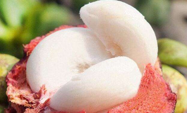 山竹水果为什么贵,山竹结那么多果为什么还那么贵