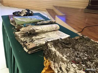 白蚁防治院,白蚁的防治价格