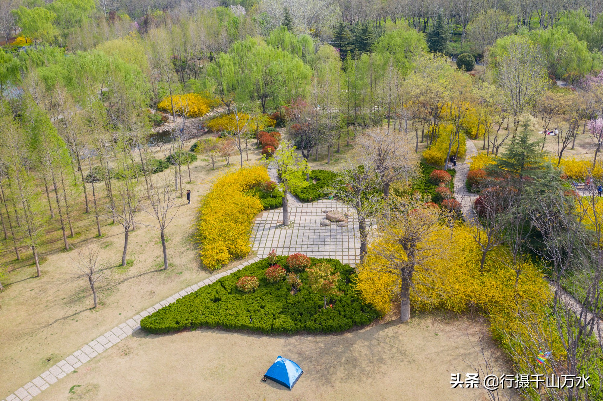 济南免费的森林公园,济南森林公园色彩斑斓秋意渐浓