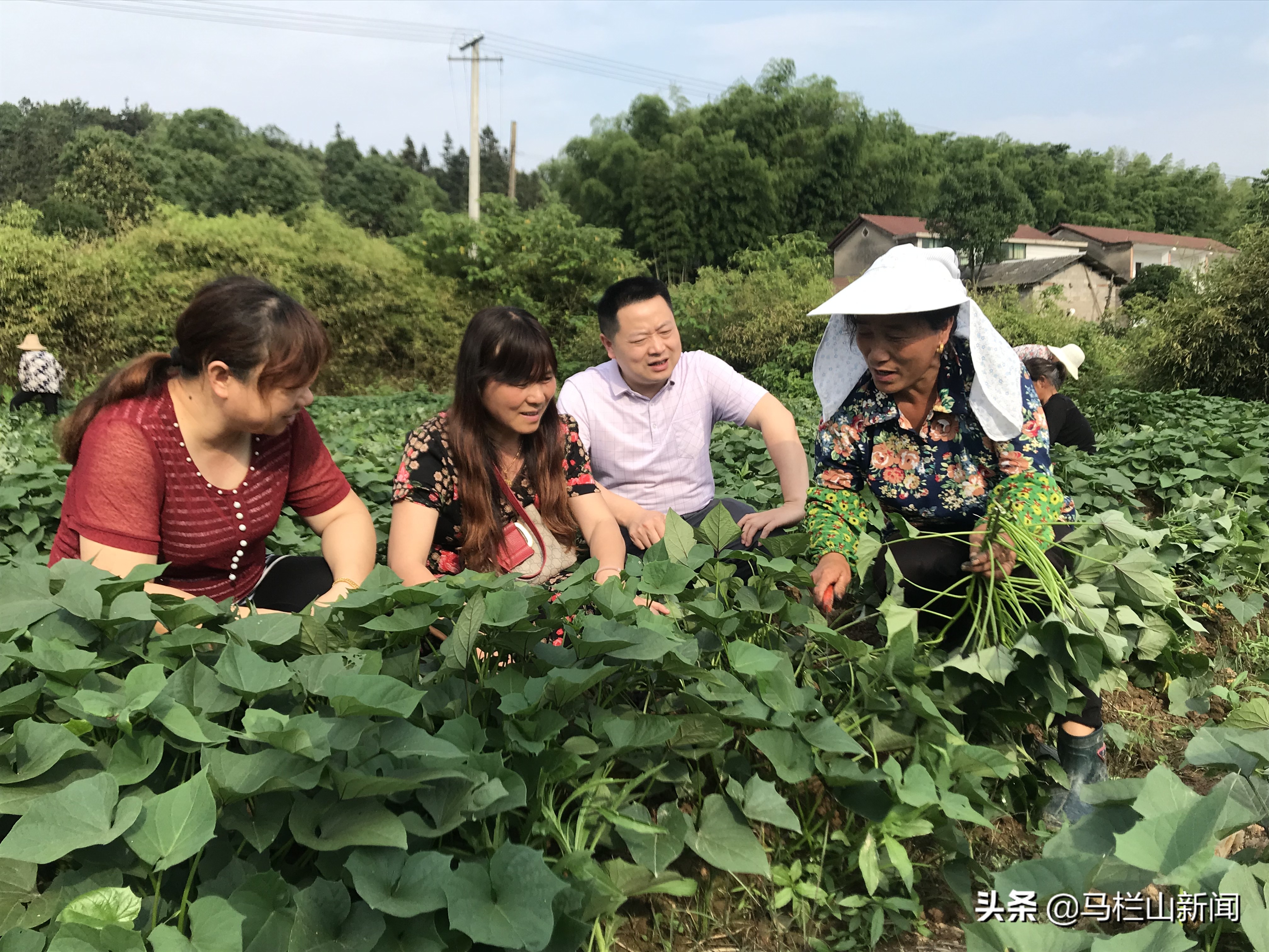 村级纪检对哪些方面进行监督,纪检委员监督村里工作范文
