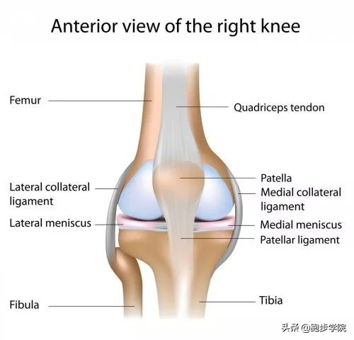 如何解决跑步膝,如何拯救膝盖