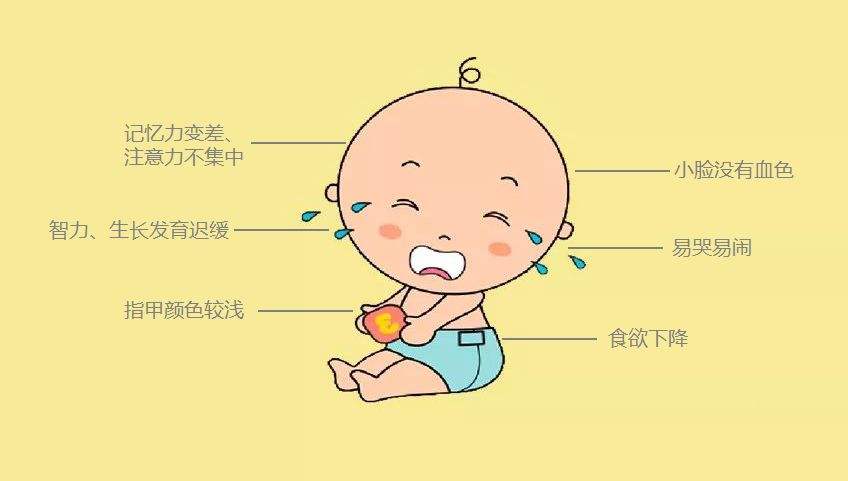 诺爱诺儿：宝宝补铁好帮手