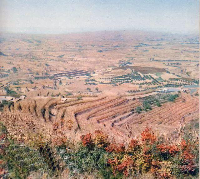 农业学大寨大寨村现况,农业学大寨指的是哪个大寨村