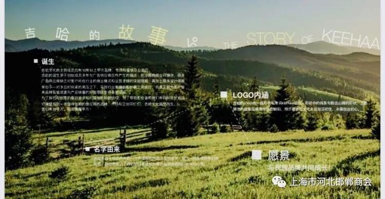 邯郸青年企业家商会,上海邯郸商会最新消息