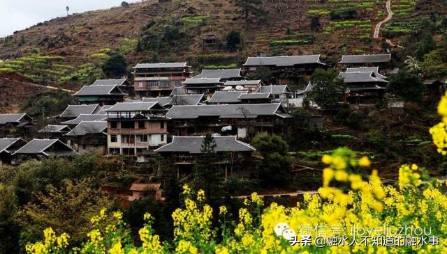 融水千亩桃花竞相盛开,融水2020桃花赏花时间表