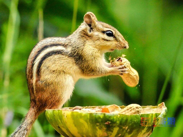 北京密云冬天游玩攻略,北京密云冬季游