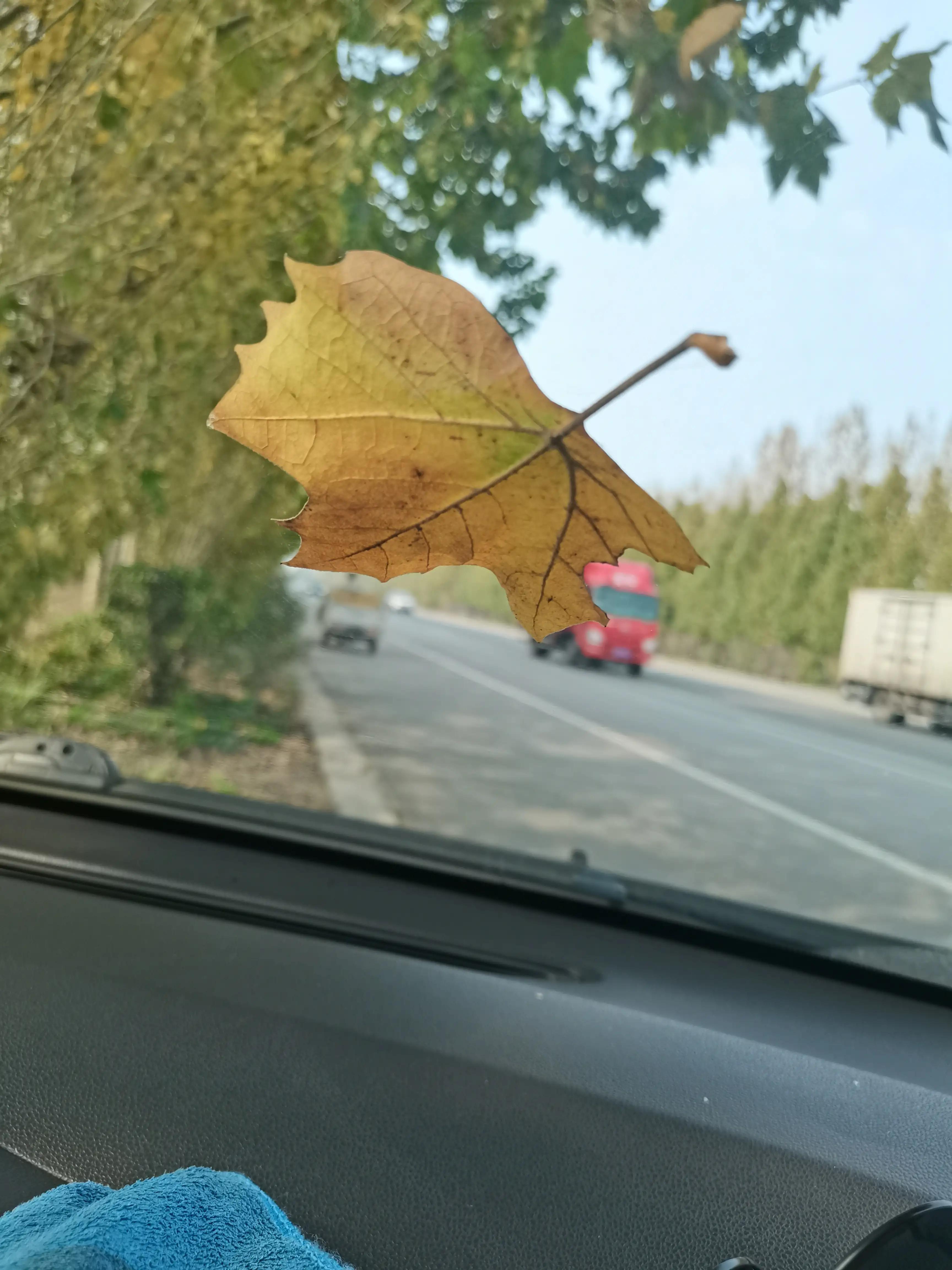 二手车商从收车到卖车整个流程,二手车商收车卖车一般赚几个点