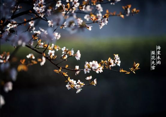 重返浙江大学,真实的浙江大学