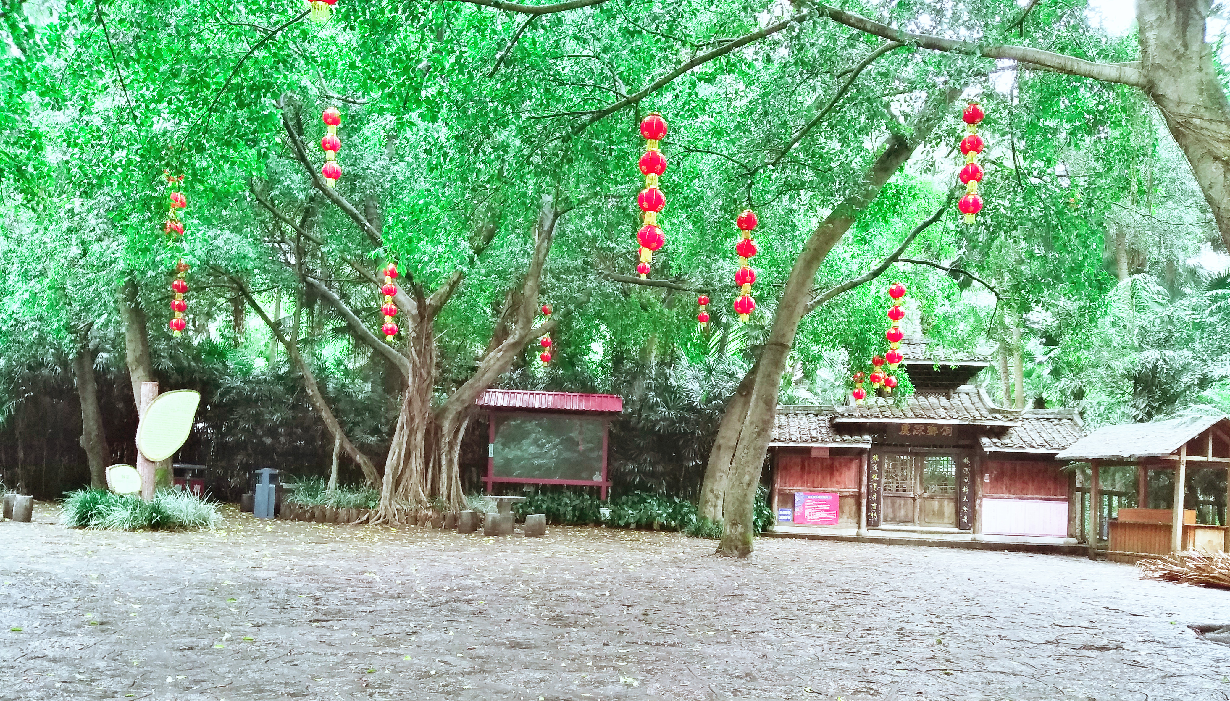 龙潭胜境蓬莱仙境,柳州冬天龙潭公园风景