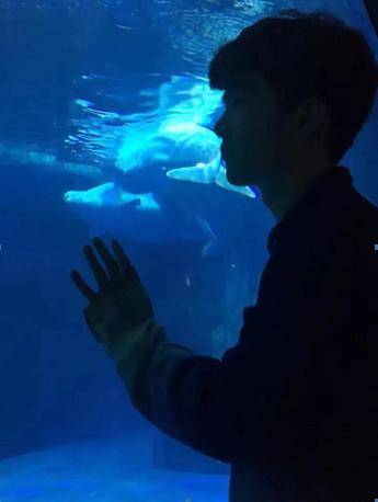 保研985六级最低分,高校保研学霸