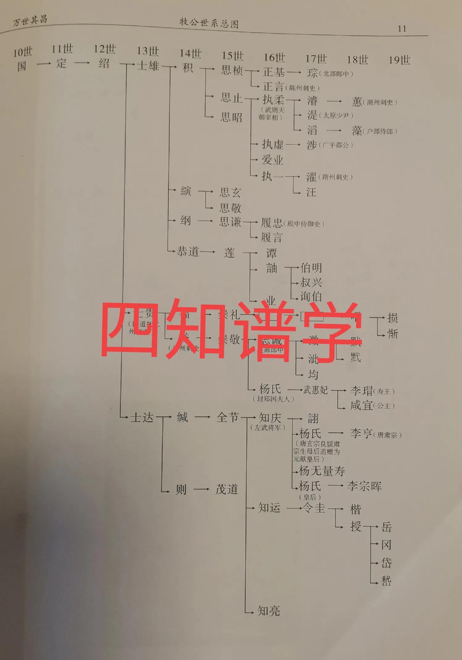 杨姓的起源简介,杨姓的起源和百家姓排行