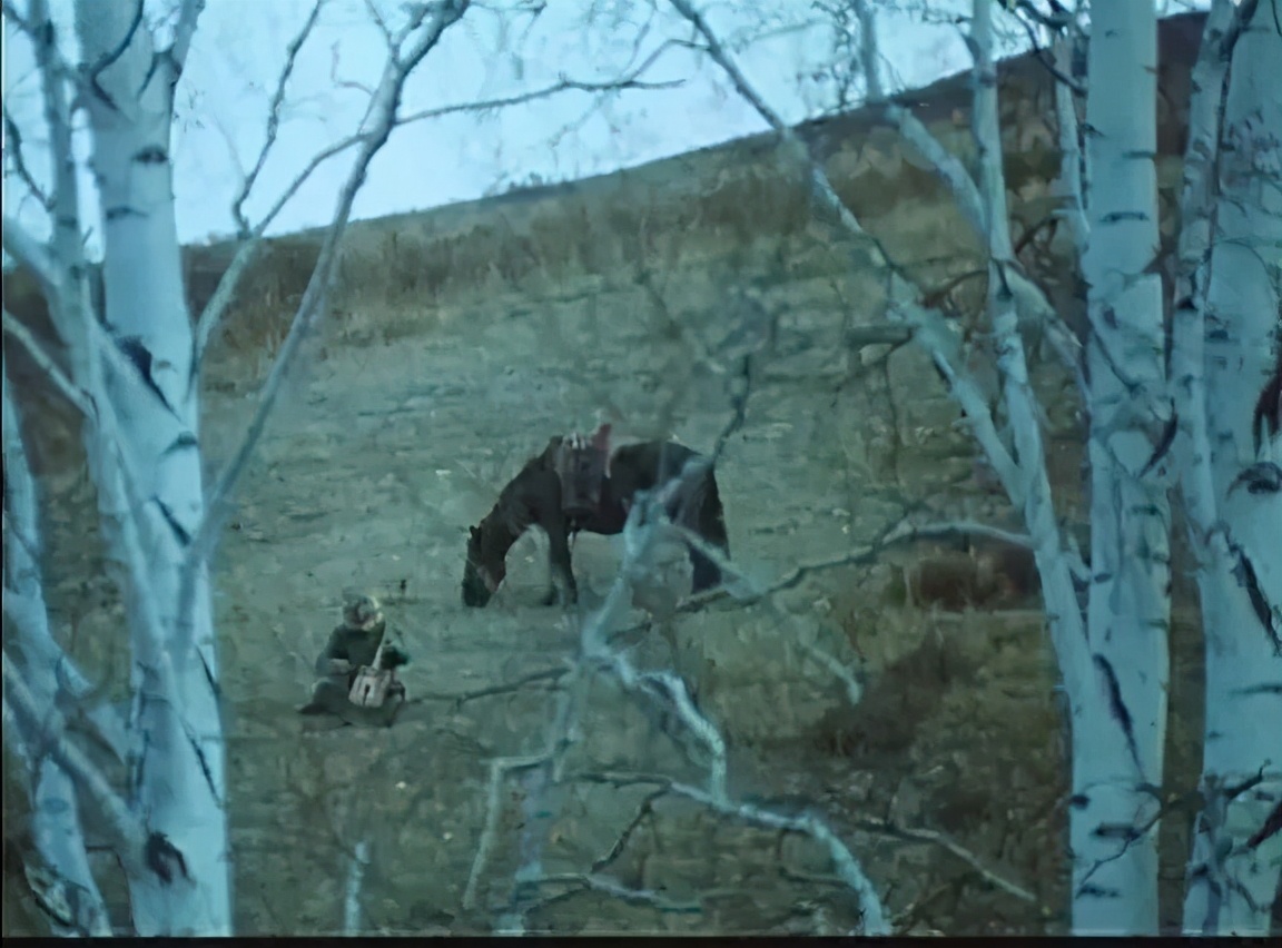 腾格尔曾经出演过哪部电影,腾格尔友情出演的电影