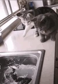 “如果这群女混混*攻围**我,我会舌战群儒!”你会怎样脱困?