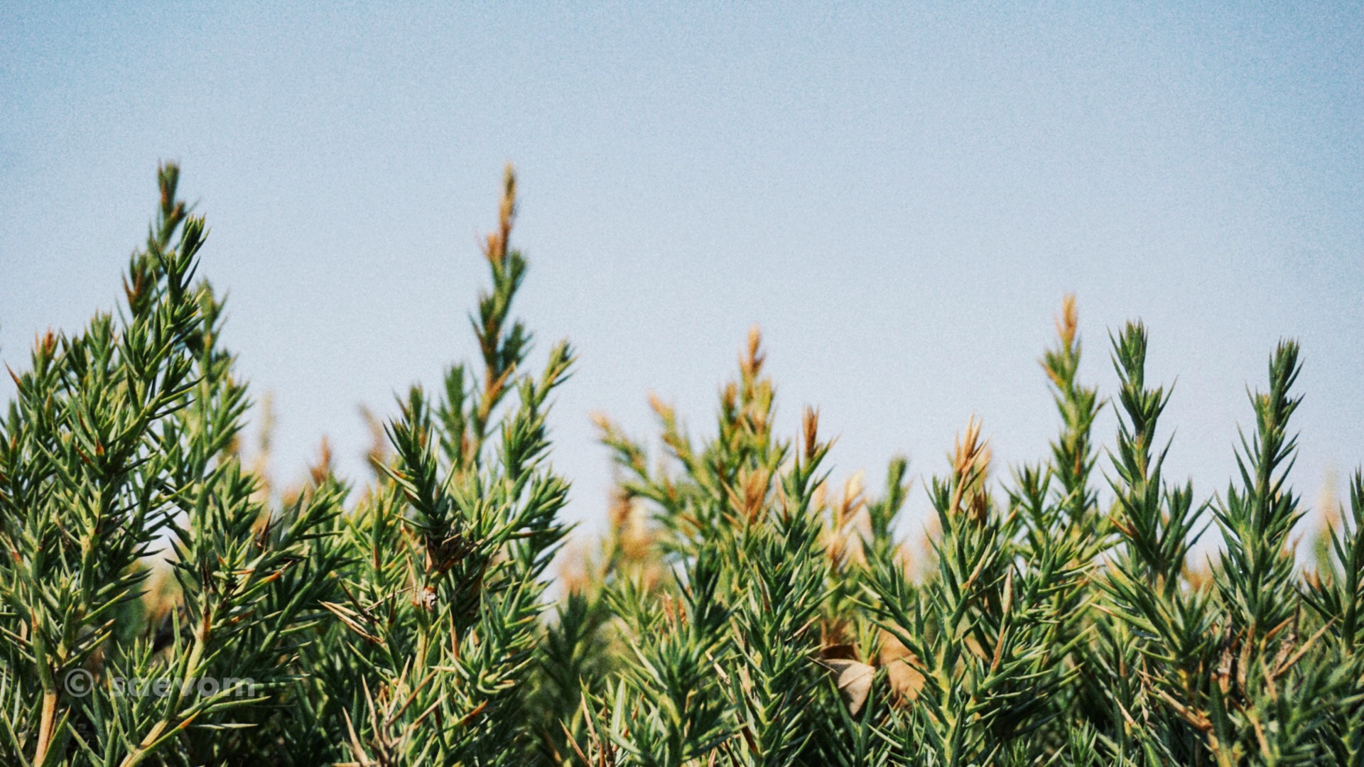 宁夏腾格里沙漠游玩攻略,宁夏沙漠旅行攻略