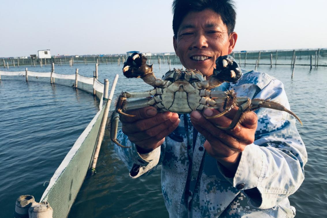 昆山阳澄湖民宿吃大闸蟹,阳澄湖吃蟹住宿
