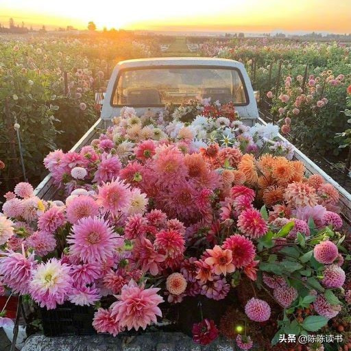 老夫妻总吵架如何相处,老夫老妻经常吵架怎么化解