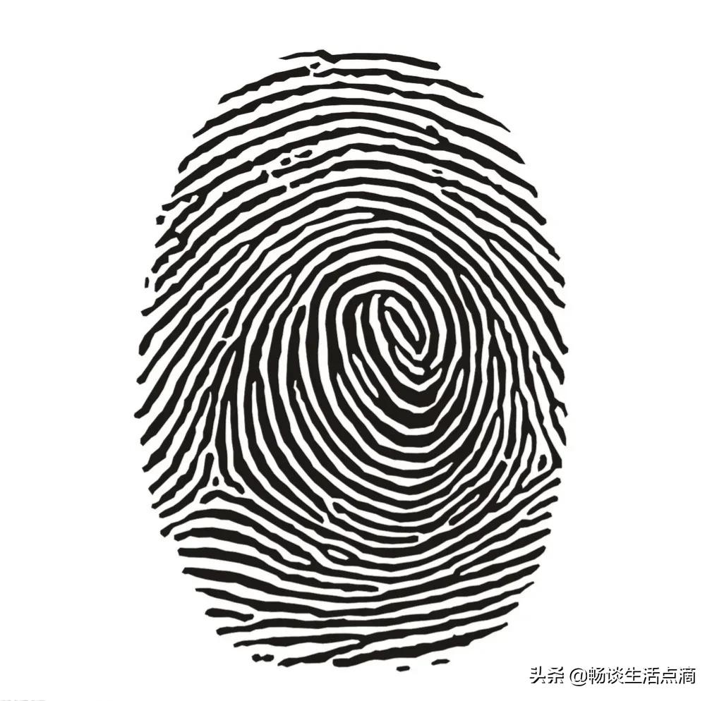 一螺穷二螺富三螺真实吗,三螺四螺卖豆腐什么意思