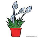 成人看图学英语之各种类型的花