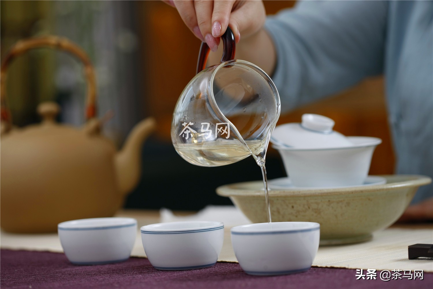 冷清世界里的一抹青春盎然——绿茶