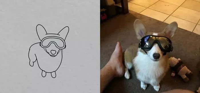 你和大触绘画的区别：一看就会一画就废，这波动物简笔画太形象了