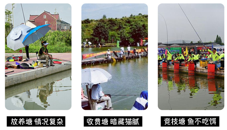 干货无死角青鱼黑坑的上岸攻略,新手玩黑坑选什么竿子