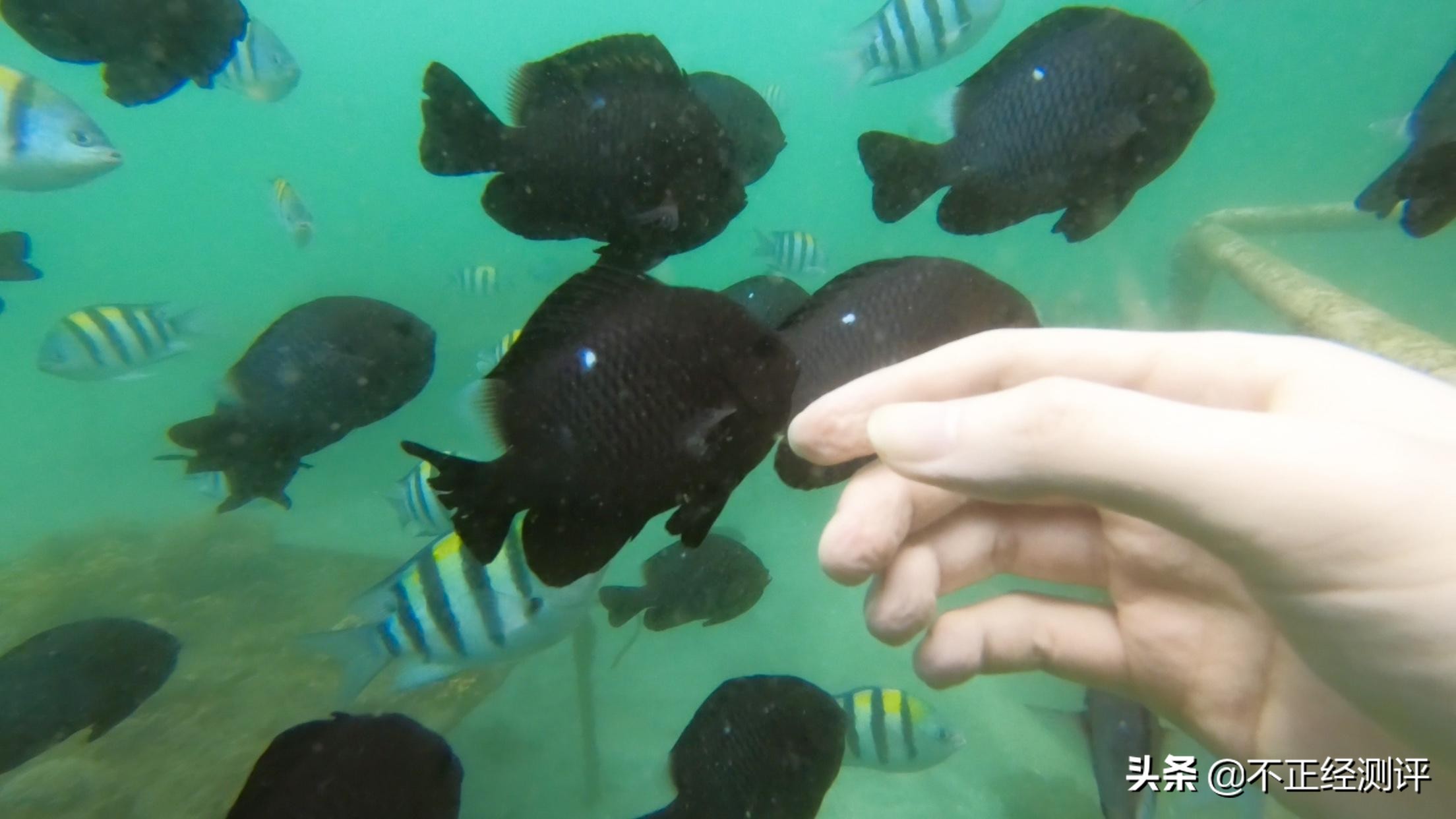 巴厘岛旅行2天,巴厘岛旅行第二天视频