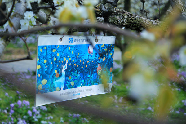 春游江淮请你来滁州版,春游江淮等您来