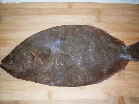 海南渔民整理的海鲜大全,渔民海鲜介绍