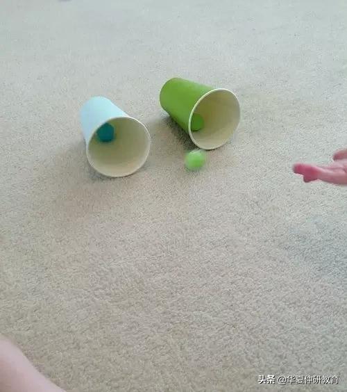 玩转纸杯趣味搭建游戏案例,趣味翻纸杯游戏