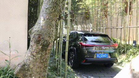 雷克萨斯ux有没有重大缺陷,买雷克萨斯ux的10大忠告