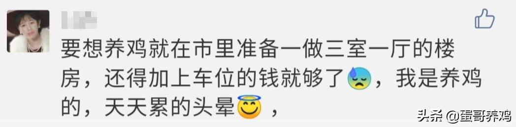 蛋鸡怎么养殖才能赚钱,现在养蛋鸡能赚钱吗