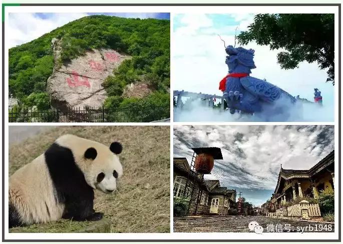 世博园攻略一日游线路,世博园和鸟岛哪个好玩