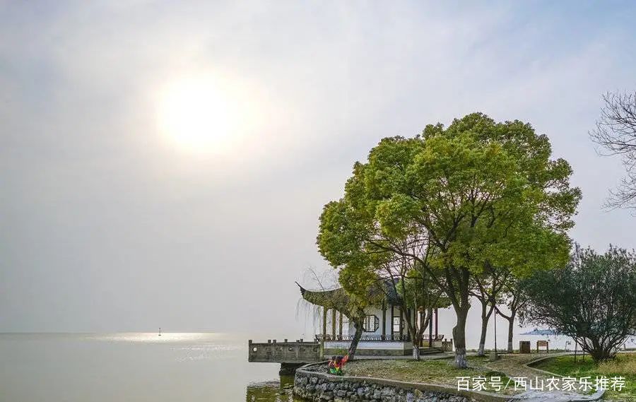 苏州西山网红打卡地樱花,苏州西山风景区有什么好玩的地方