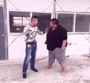 金毛搞笑表情图片伸手,金毛吃醋的搞笑图片