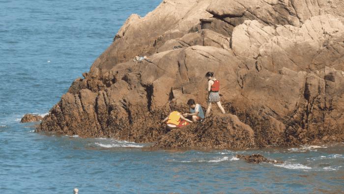 枸杞岛的真实生活,中国枸杞岛攻略