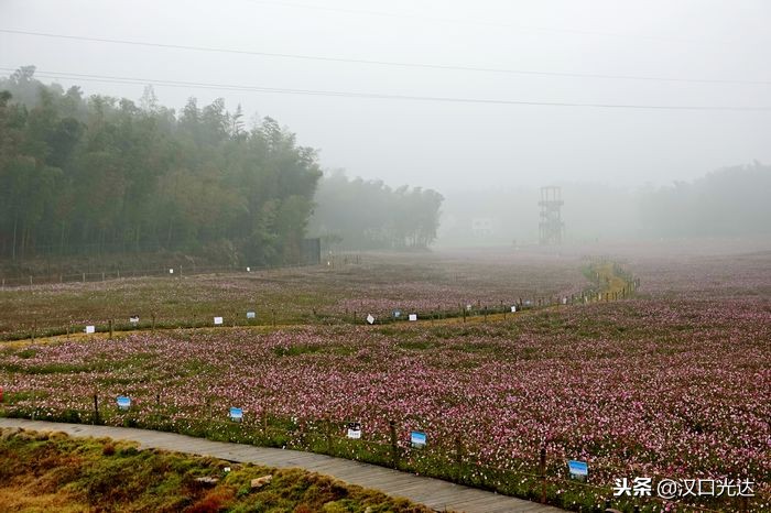 万亩茶园·俄罗斯方块小镇：全球首家茶文化俄罗斯风情主题公园