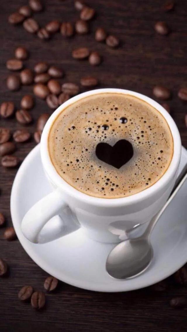 碳水化合物食物含量一览表图片,什么食物蛋白质和碳水含量高